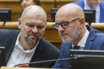 Podľa Gröhlinga by mal Sulík v SaS ostať ako ekonomický garant