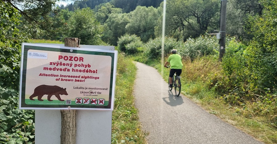 Medveď opäť zabíjal. Prečo je plošný odstrel legitímnou témou