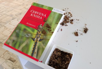 Publikácie o vzácnych zvieratách vyšli po tridsiatich rokoch. Dostať sa k nim však nedá